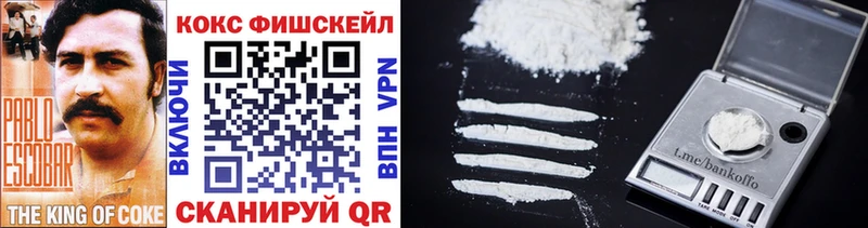 COCAIN Fish Scale Чапаевск
