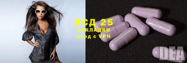 ГАЛЛЮЦИНОГЕННЫЕ ГРИБЫ Балахна