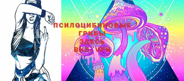 ГАЛЛЮЦИНОГЕННЫЕ ГРИБЫ Балахна