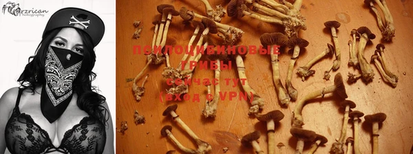 каннабис Арсеньев