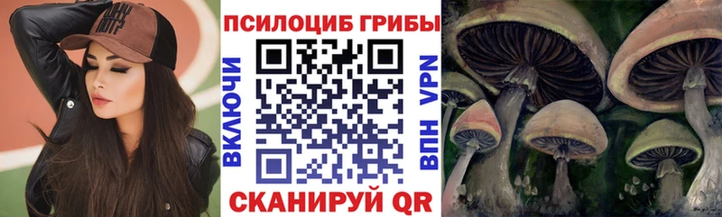Псилоцибиновые грибы Magic Shrooms  Чапаевск 